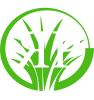 RP Landscaping