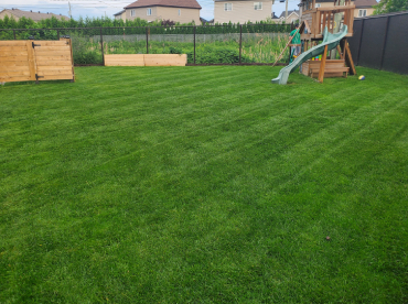 Professional lawn mowing service in progress