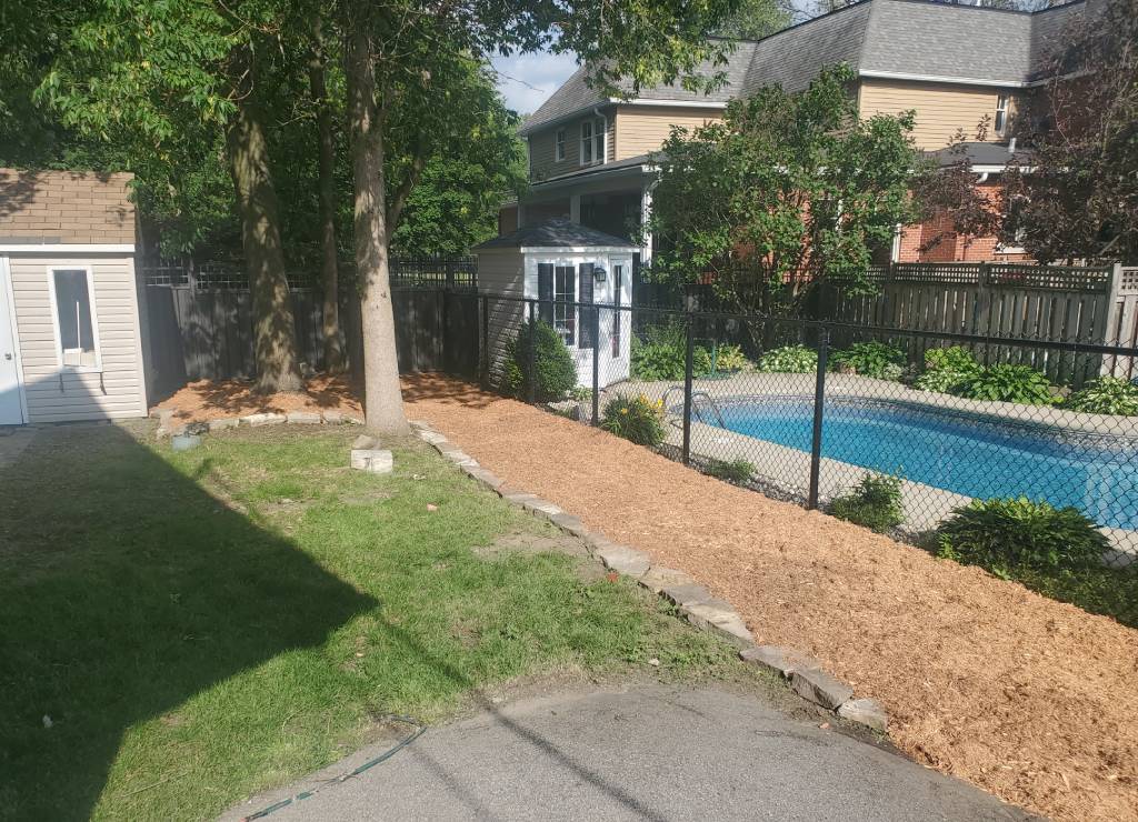 Cedar mulch applied around garden plants and shrubs